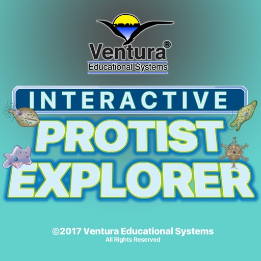 Interactive Protist Explorer