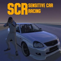 Sensitive Car Racing