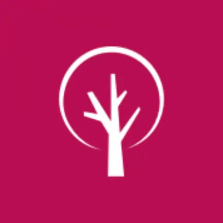Cedarwood for Parents Читы