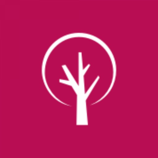 Cedarwood for Parents