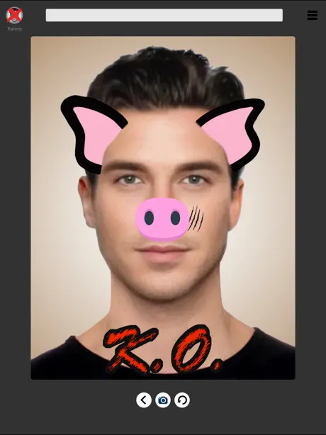 FacePun