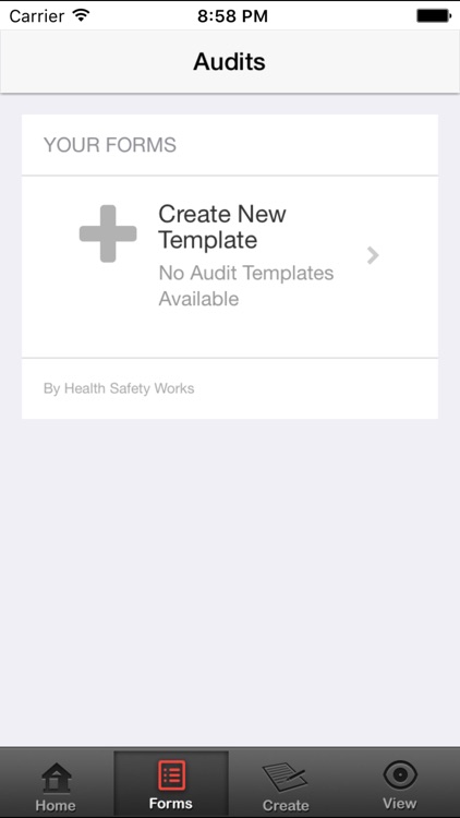 Audit - Safety Audits screenshot-3