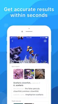 Picture Fish - Fish Identifier iphone bilder 1