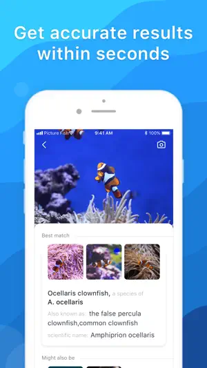 Picture Fish - Fish Identifier screenshot 2