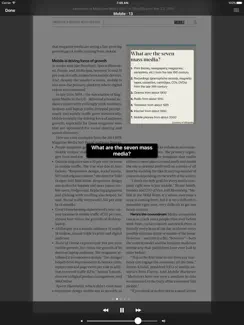 FIPP Insight iPad image 4