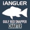 Welcome to iAngler Gulf Red Snapper-Charter