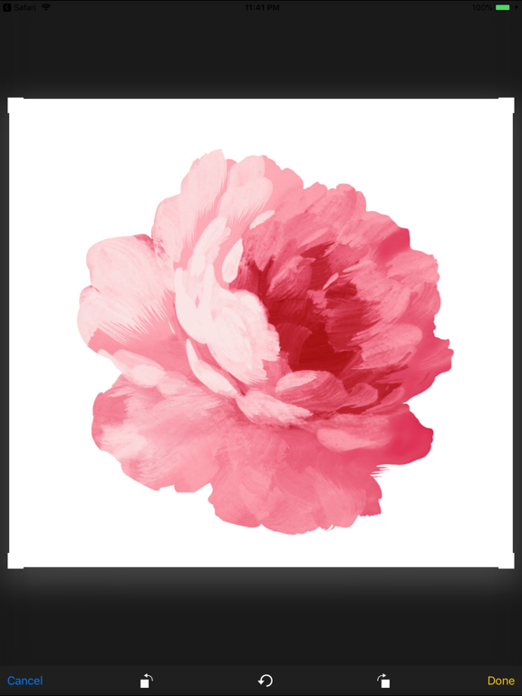 Screenshot #4 pour iplant - Plant identifier