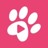 iPET - A Pet’s Community icon