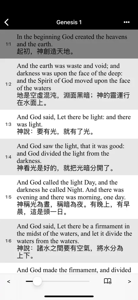 Bible(ASV) - Lite