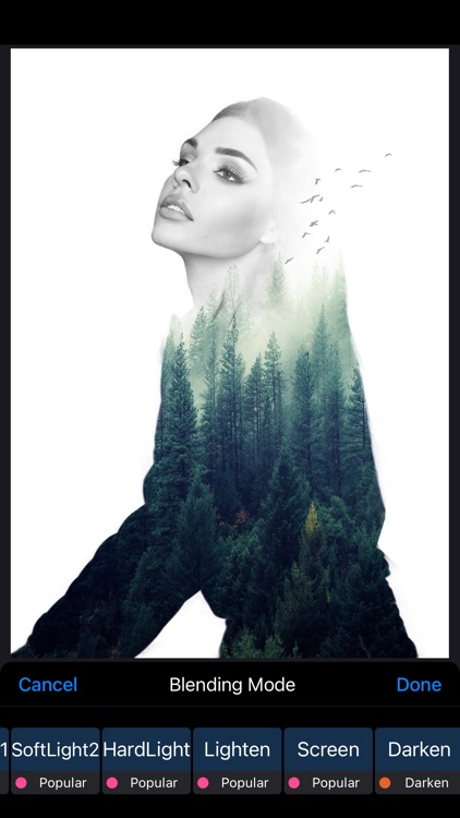 MixArt Photo & Video Editor screenshot-8