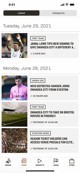 Game screenshot Swansea City hack