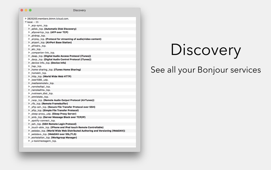 #1. Discovery - DNS-SD Browser (macOS) 由: Lily Ballard
