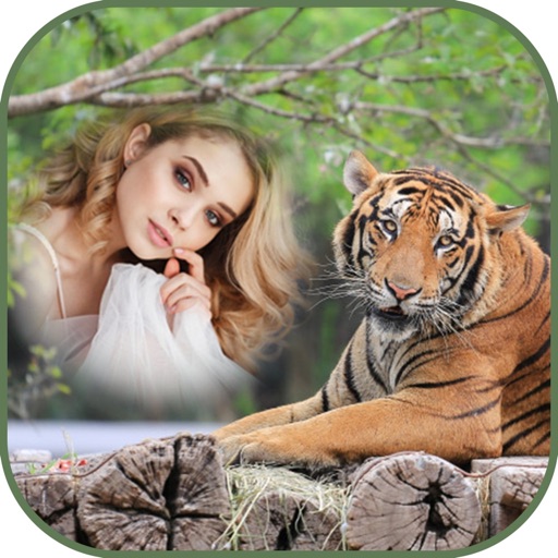 International Tiger Day Frames