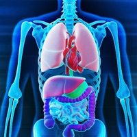 엑스레이 스켈레톤 스캐너 AR  PC 용