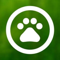 DigiSmart Writing: Animals