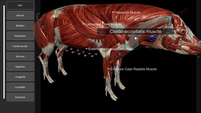 3D Pig Anatomyのおすすめ画像2