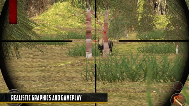 Animals Shooting Sniper(圖2)-速報App
