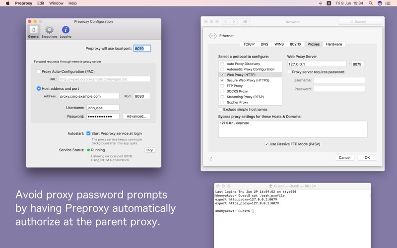 Screenshot #1 pour Preproxy