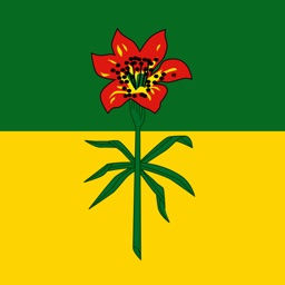 Welcome to Saskatchewan