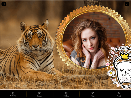 Screenshot #6 pour International Tiger Day Frames