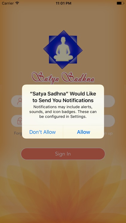 Satya Sadhna