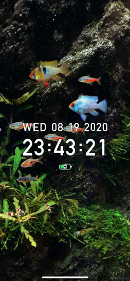 Game screenshot Tropical Fish Tank - Mini Aqua apk