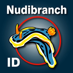 Nudibranch ID Eastern Pacific