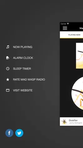 Game screenshot Mad Wasp Radio hack