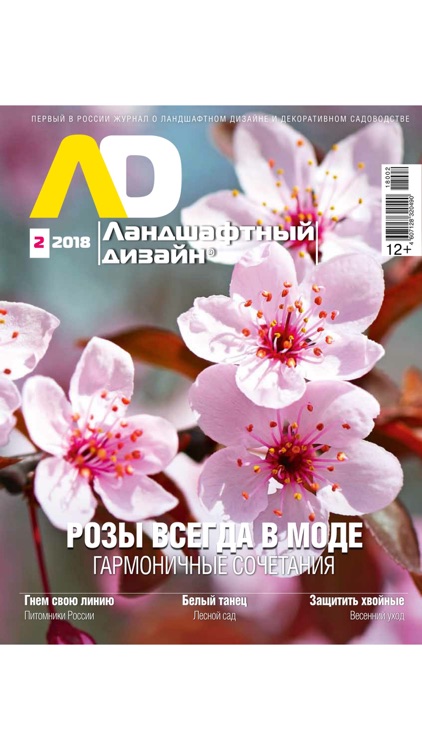 Ландшафтный дизайн