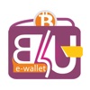 B4U Wallet