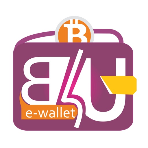 B4U Wallet Icon