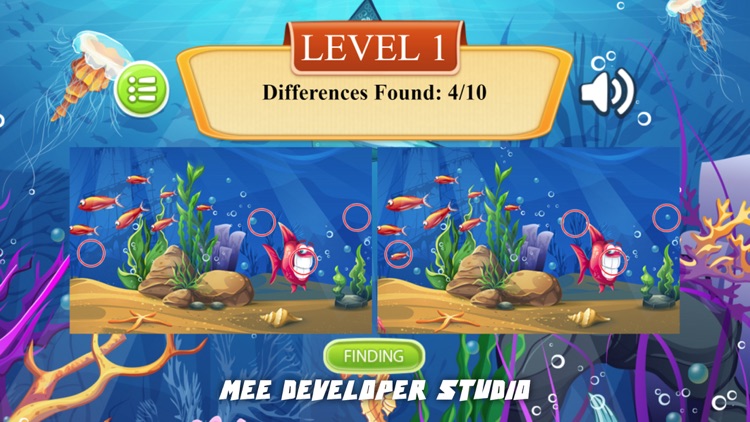 Sea Animal -Ocean Photo Puzzle