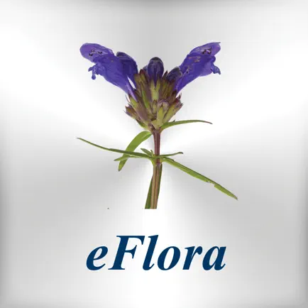 eFlora Cheats