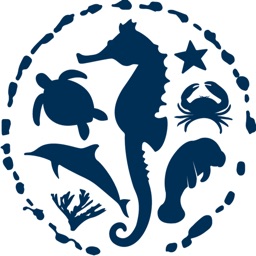 1000 Eyes on the Water