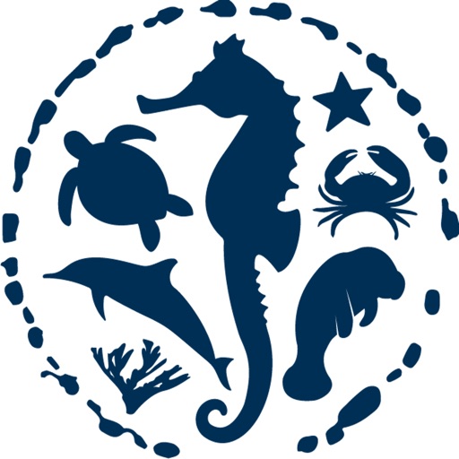 1000 Eyes on the Water