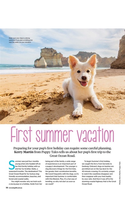 Dogs Life screenshot-4