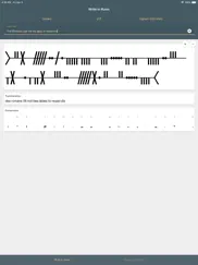write in runic ipad resimleri 3