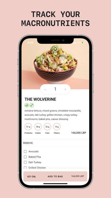 SALATA Screenshot