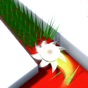 Cutting Grass – Rolly Splat app download