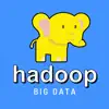 Learn Hadoop & Big Data [Pro] Positive Reviews, comments