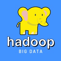 Learn Hadoop & Big Data [Pro] logo
