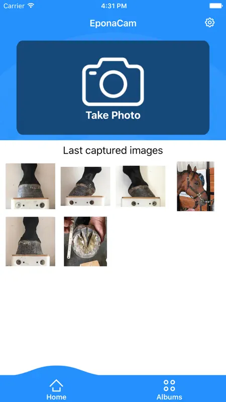 EponaCam screenshot 1 of 5