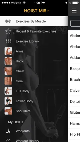 Game screenshot HOIST Strength apk