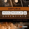 Essentials For Moog Modular V