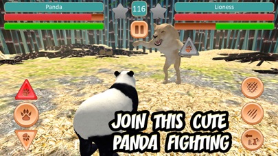 Panda Fighting screenshot 1