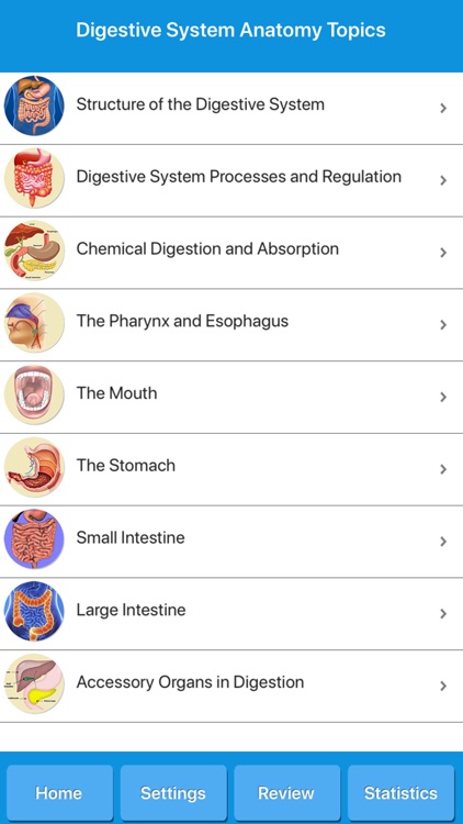 Human Digestive System Anatomy screenshot-3