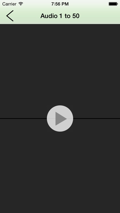 US Citizenship Test Audio screenshot-5