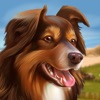 Dog Hotel - 犬と遊ぶ - iPadアプリ
