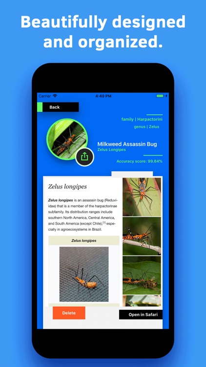 Insect Identification screenshot-4