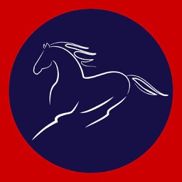 Horse Shopping Network